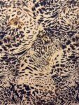 Fluit-scaled-e1662996855555 (1)