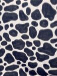 Fluit-scaled-e1662996855555 (1)