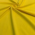 Fluit-scaled-e1662996855555 (1)