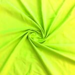 Fluit-scaled-e1662996855555 (1)