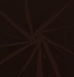000437-Principal-595×624