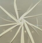 000437-Principal-595×624