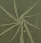 000437-Principal-595×624